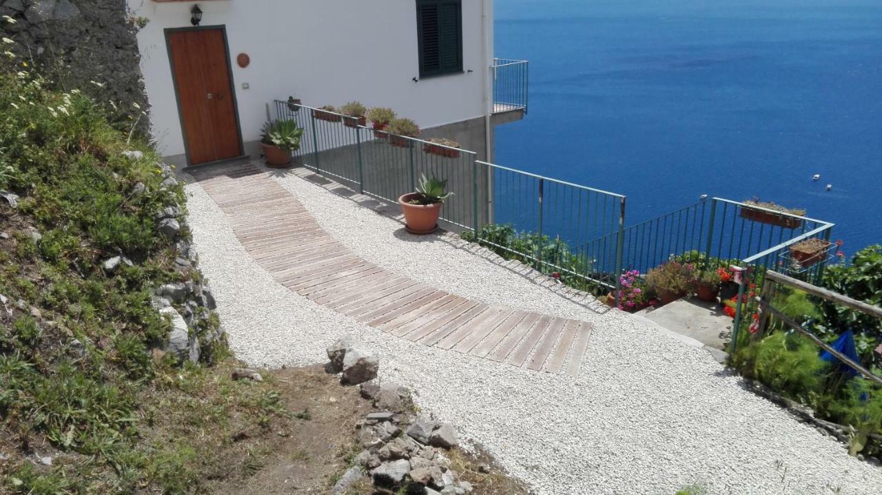 The Guardian Of Amalfi