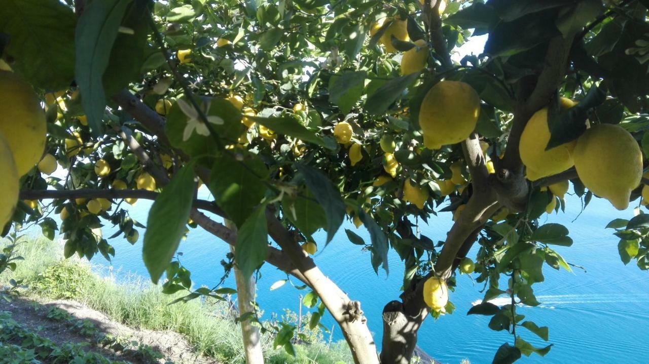 The Guardian Of Vakantiehuis